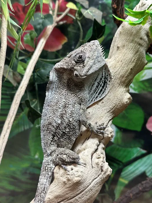 Cross City Exotics 12