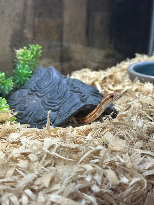 Cross City Exotics 12