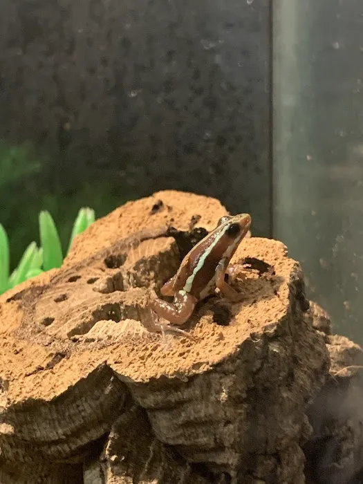 Cross City Exotics 12