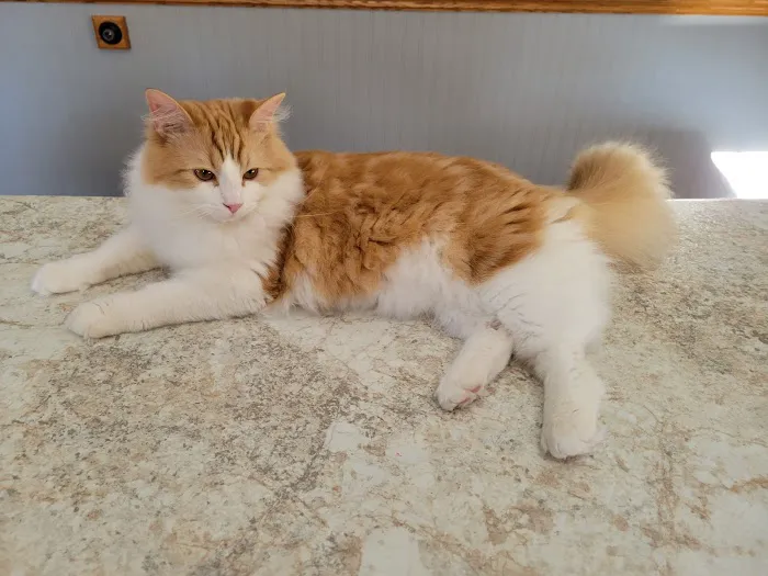 Tillie Lake Veterinary Clinic 12