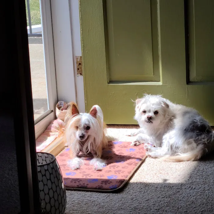 Tillie Lake Veterinary Clinic 12