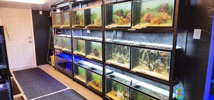 Ocean Aquarium and Ponds 12