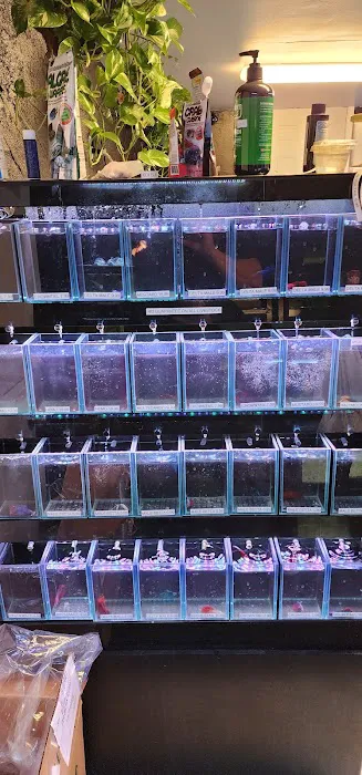 Ocean Aquarium and Ponds 12