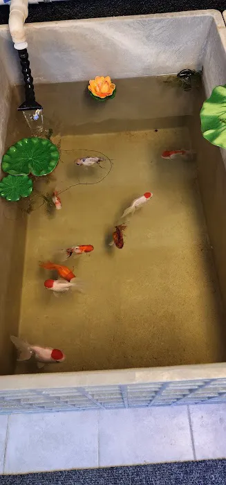 Ocean Aquarium and Ponds 12