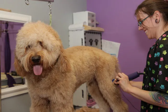 East Towne Veterinary Clinic 12