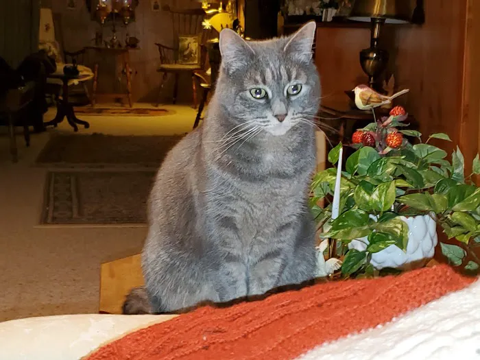 Cedarburg Veterinary Clinic 12