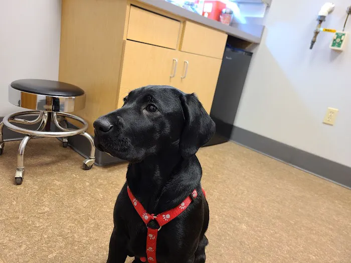 Cedarburg Veterinary Clinic 12