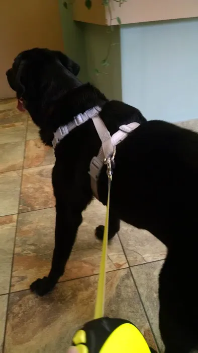 Red Cedar Animal Hospital, PC 3