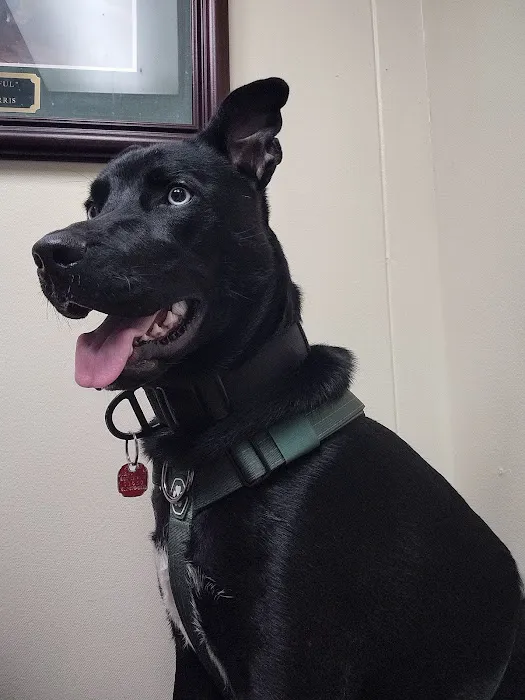Red Cedar Animal Hospital, PC 6