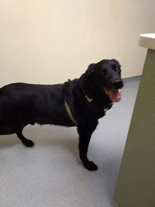 Red Cedar Animal Hospital, PC 4
