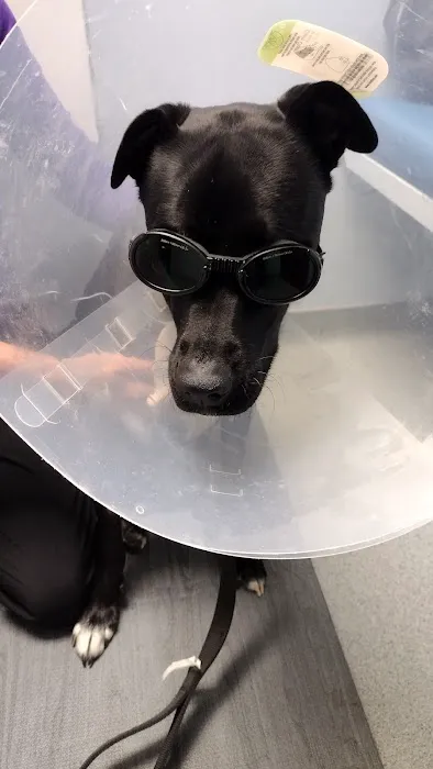 Red Cedar Animal Hospital, PC 7