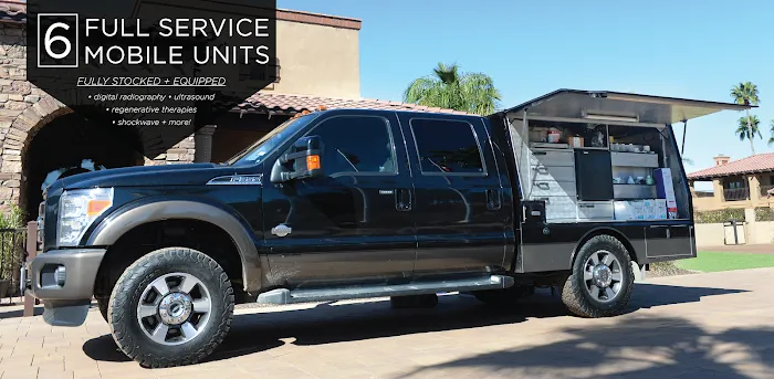 Equine Athlete Veterinary Services 2
