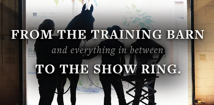 Equine Athlete Veterinary Services 3