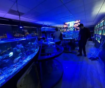 Endless Reef