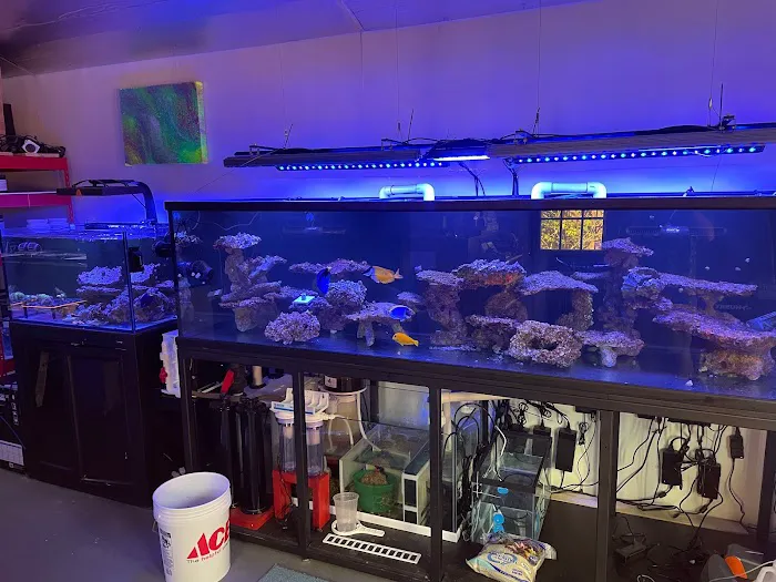 Seaworthy Aquatics 3
