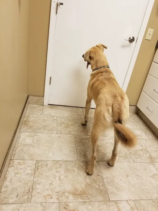 Cedar Creek Veterinary Clinic 2