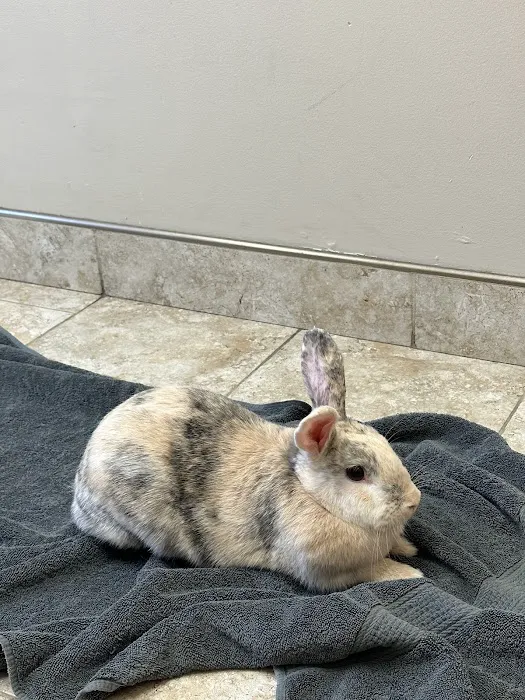Cedar Creek Veterinary Clinic 1