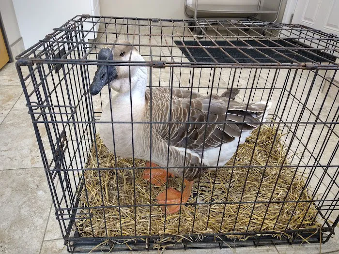 Cedar Creek Veterinary Clinic 5