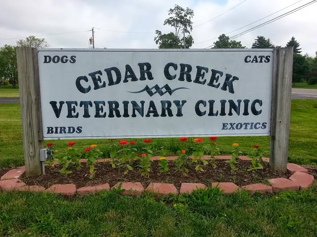 Cedar Creek Veterinary Clinic 10