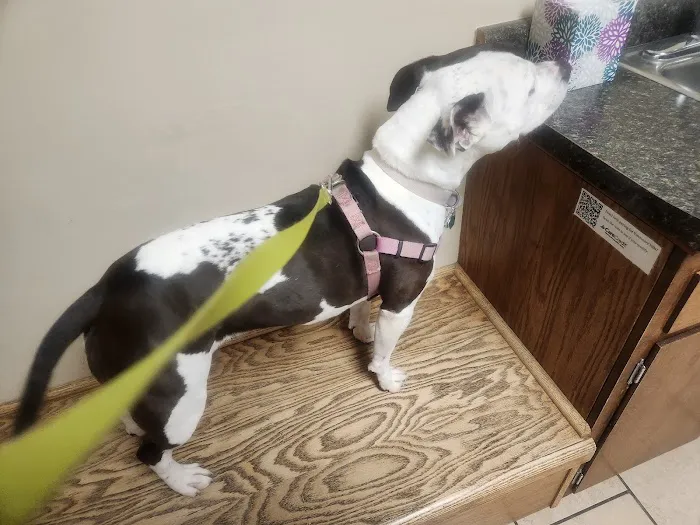 Madison Road Veterinary Clinic 12