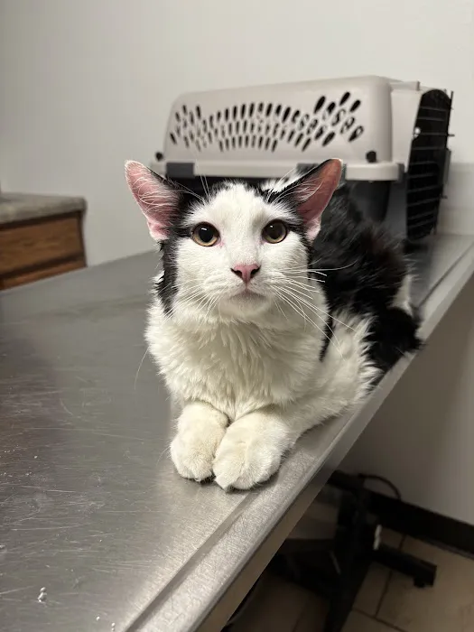 Madison Road Veterinary Clinic 12