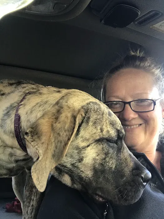 Beloit Animal Hospital 12