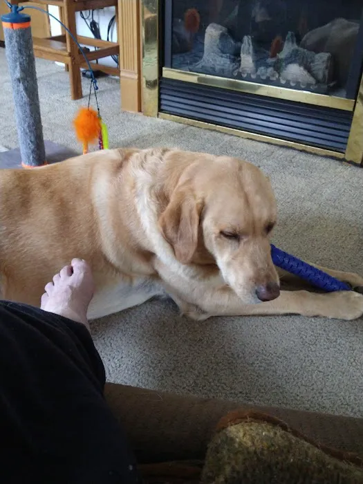 Rockton Veterinary Hospital 12