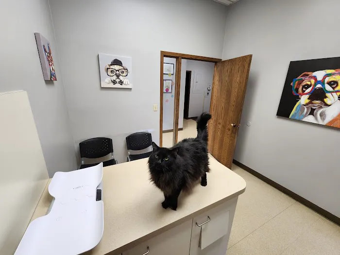 Hononegah Animal Hospital 12