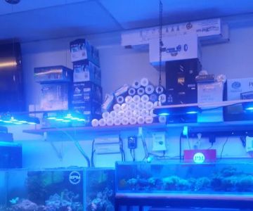FJW Aquarium