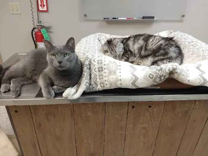 Blackhawk Veterinary Hospital 12