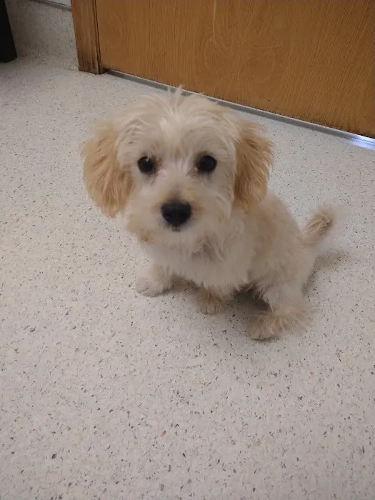 Roscoe Veterinary Clinic 12