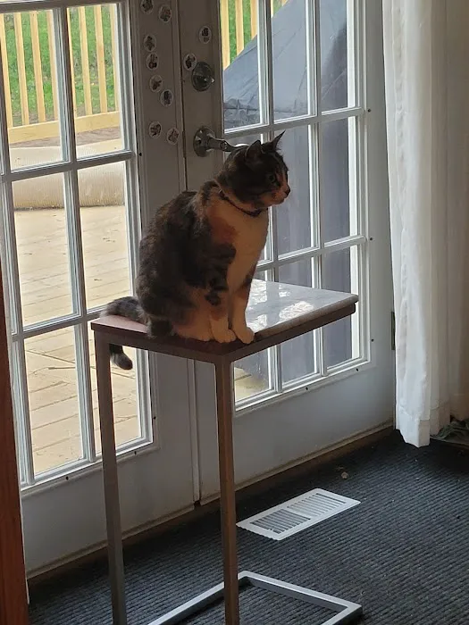 Roscoe Veterinary Clinic 12