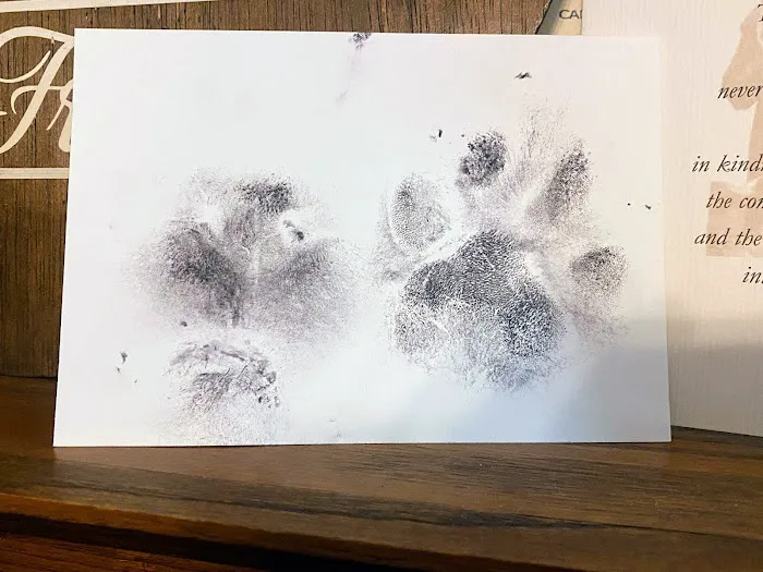 Roscoe Veterinary Clinic 12
