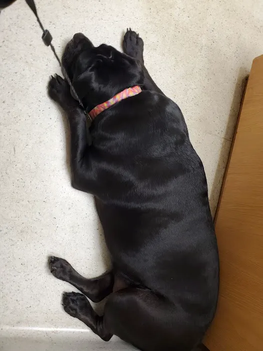 Roscoe Veterinary Clinic 12