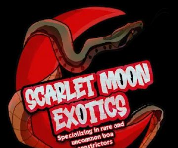 Scarlet Moon Exotics