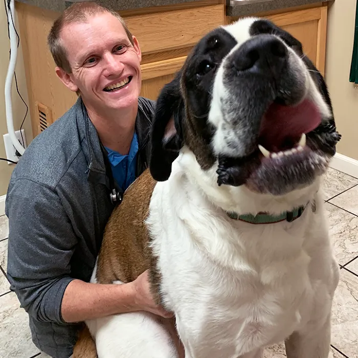 Janesville Veterinary Clinic 12