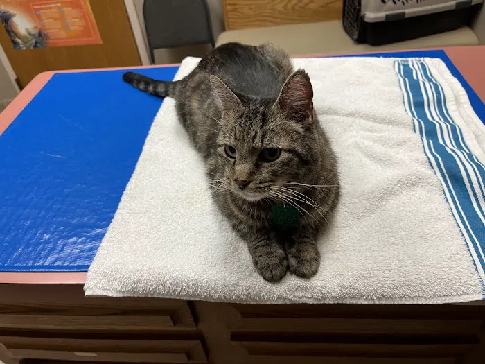 Animal Medical Clinic--North 12