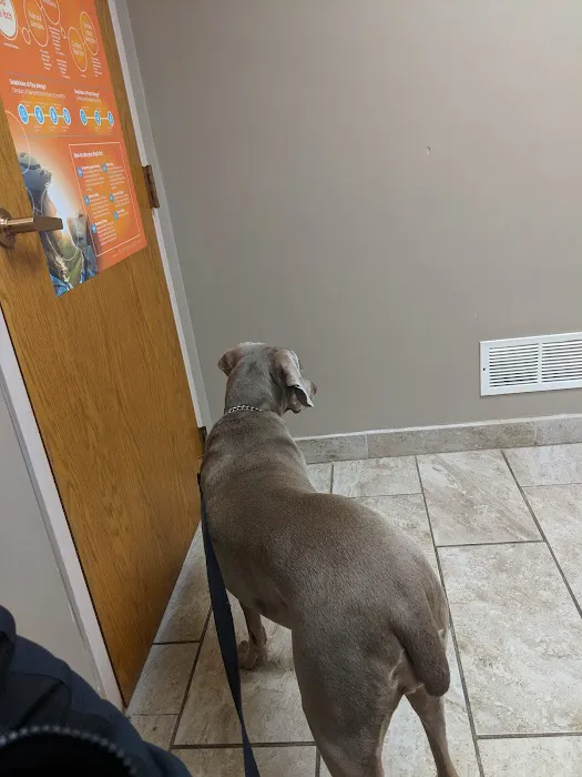 Animal Medical Clinic--North 12