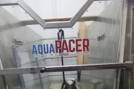 EQUINE & CANINE AQUATIC THERAPY