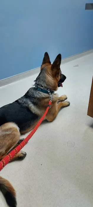 Animal Health Center 12