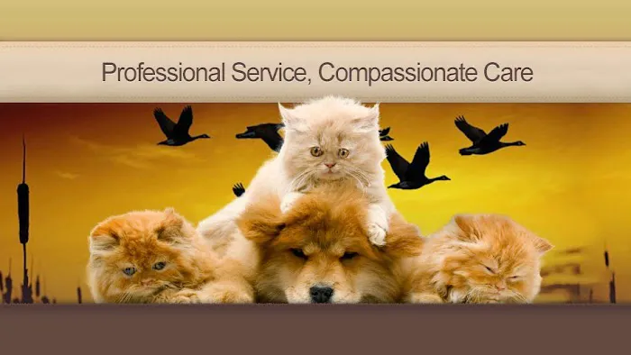 Animal Health Center 12
