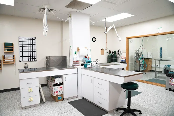 Gentle Healer Pet Clinic LLC 1
