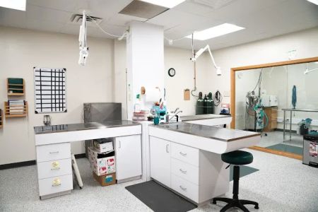 Gentle Healer Pet Clinic LLC