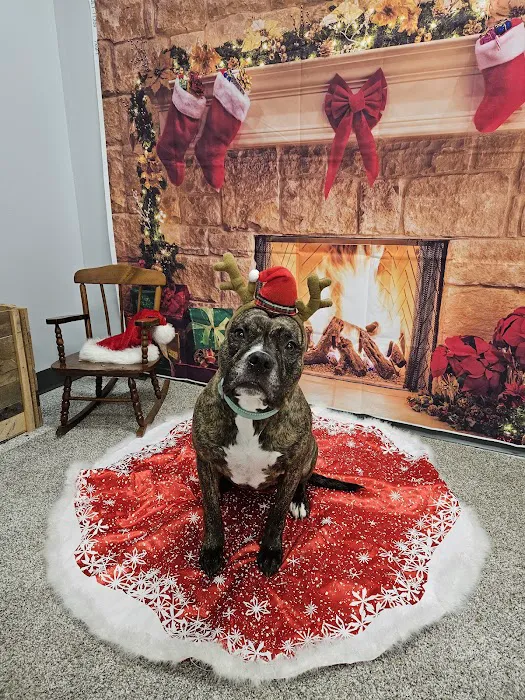 Gentle Healer Pet Clinic LLC 9