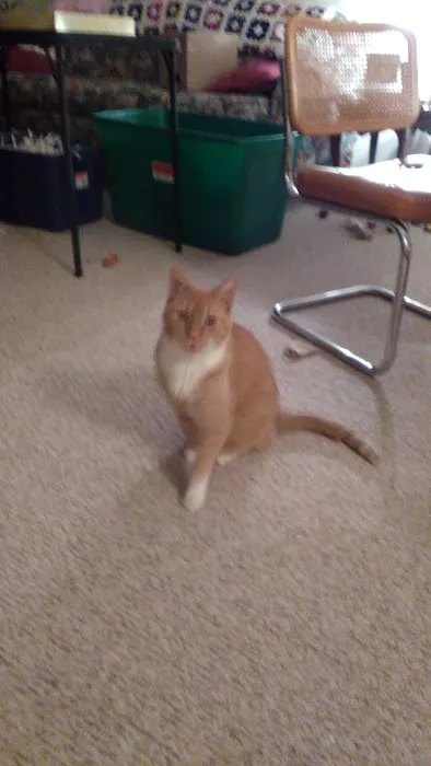 Rock River Veterinary Clinic 12