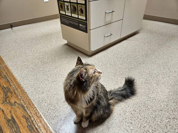 Tyranena Veterinary Clinic 12
