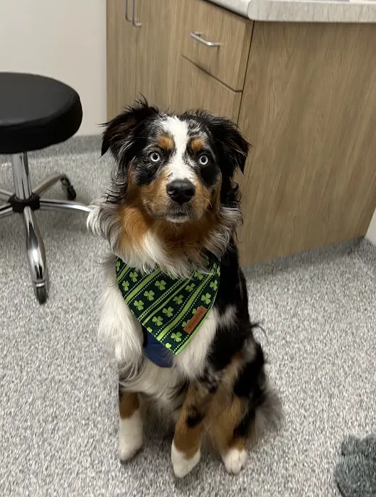Lake Mills Veterinary Clinic 12