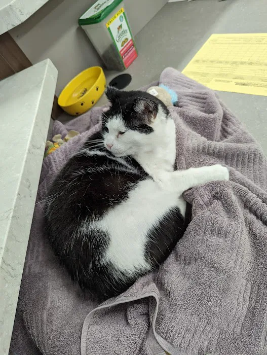 Lake Mills Veterinary Clinic 12