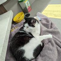 Lake Mills Veterinary Clinic ico