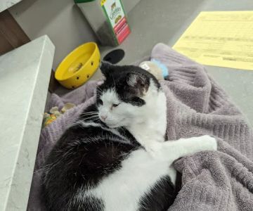 Lake Mills Veterinary Clinic